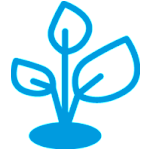 Environmental Responsibility