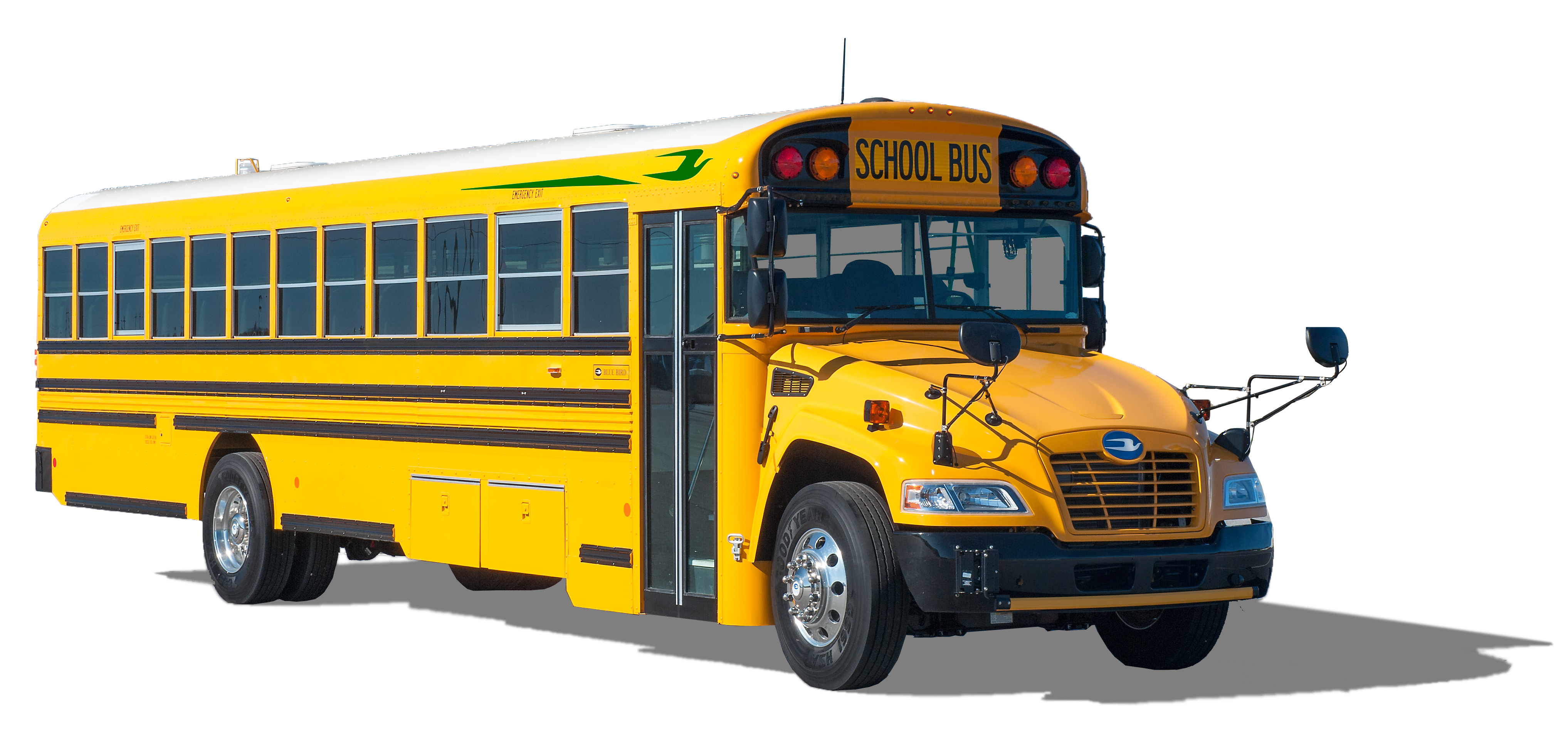 Blue Bird School Bus
